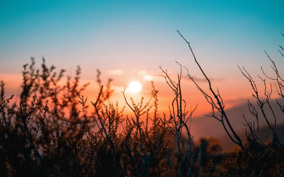 Retiro de Ana Mª González Chao